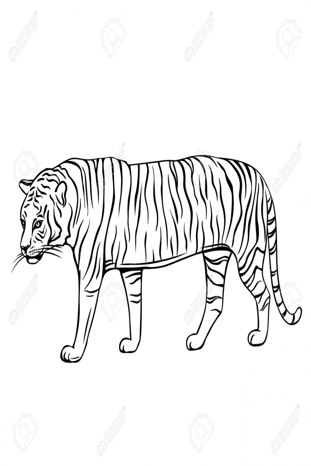 Hand Drawn Tiger Icon