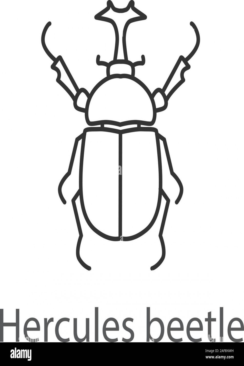 Hercules beetle linear icon. Insect. Dynastes