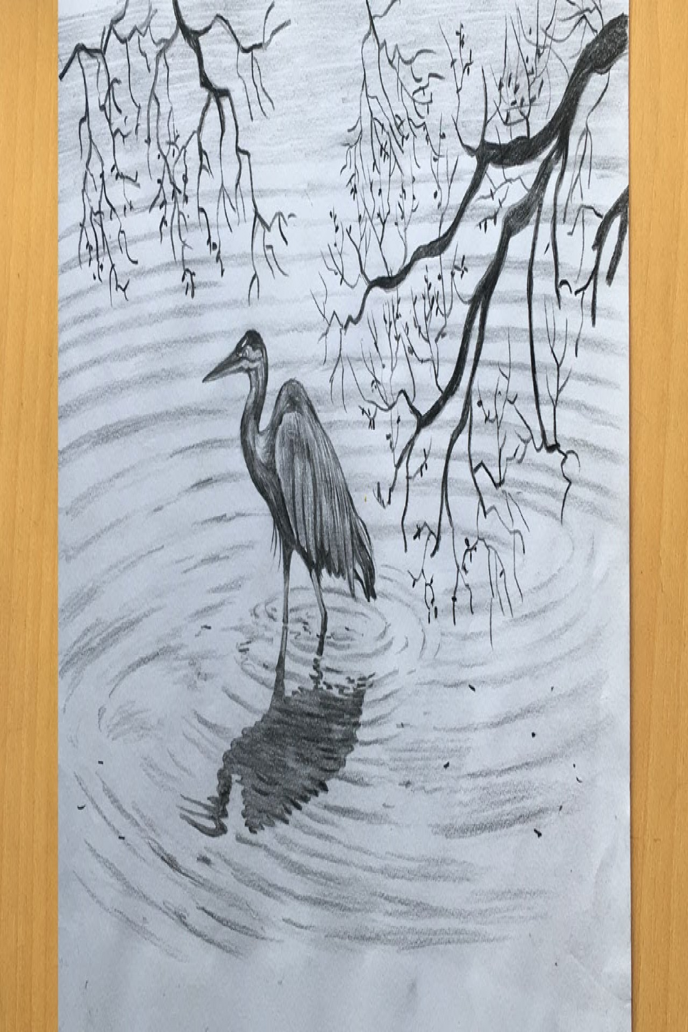 Heron drawing in pencil  simple pencil sketch  bird drawing step by step