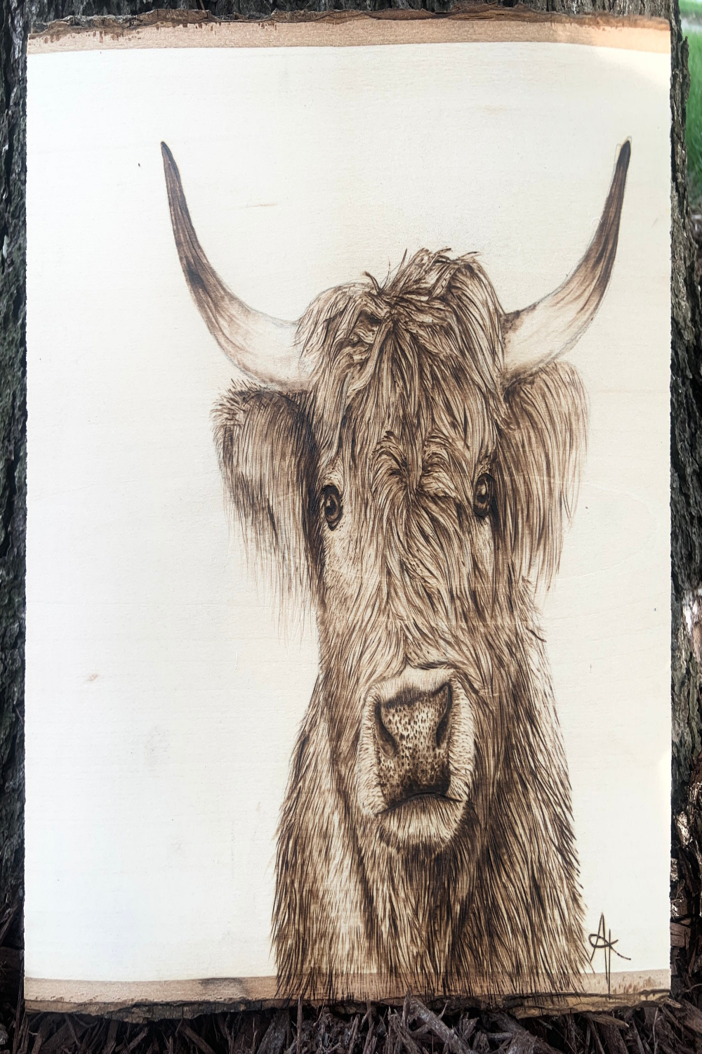 Highlander Cow Wood Burning Handmade Decor - Etsy