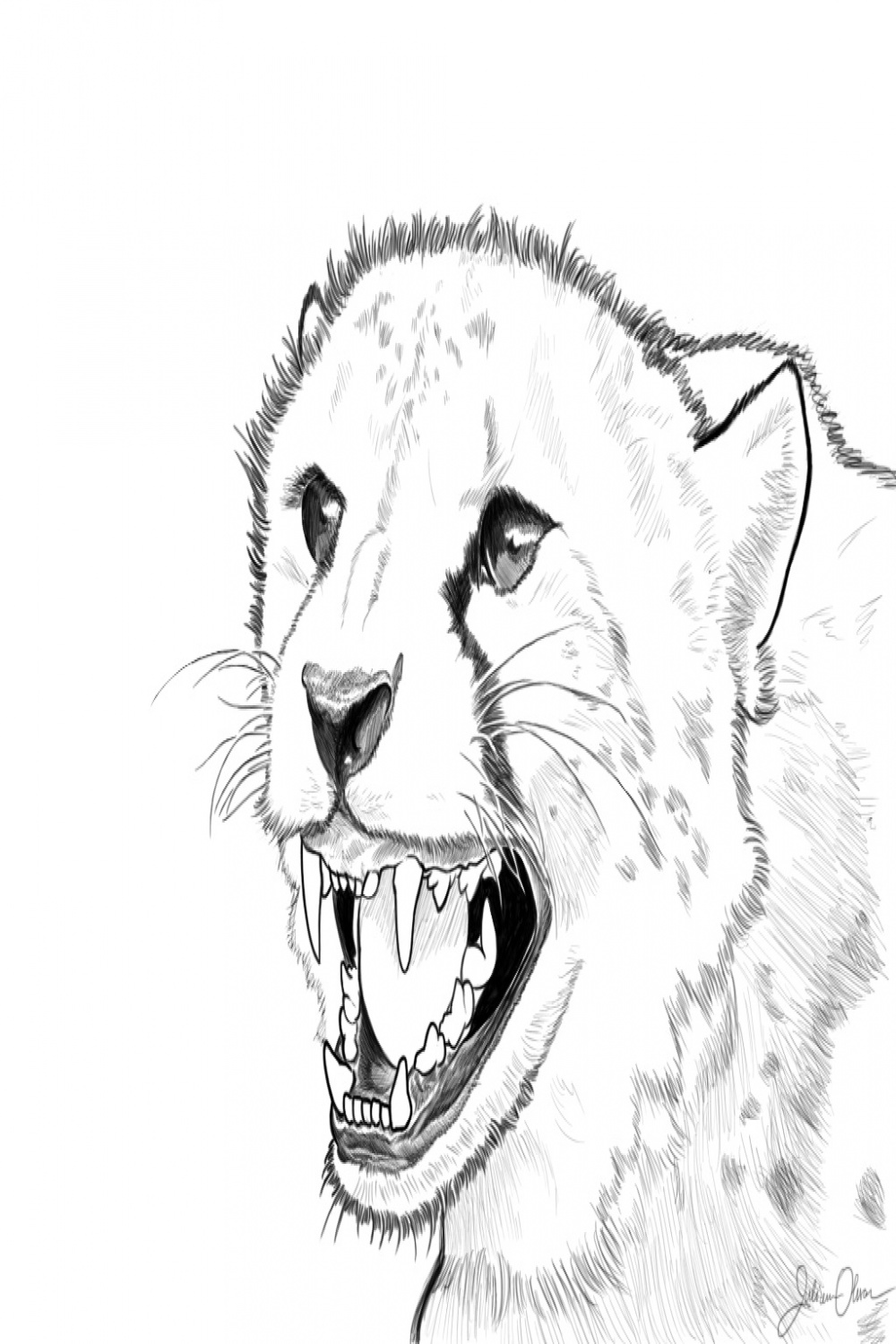 Hissing Cheetah by juliolsson on DeviantArt