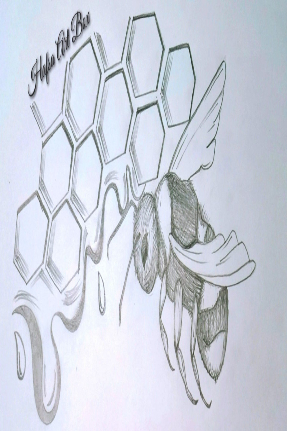 Honey Bee  Bee drawing, Honey bee, Easy art lessons