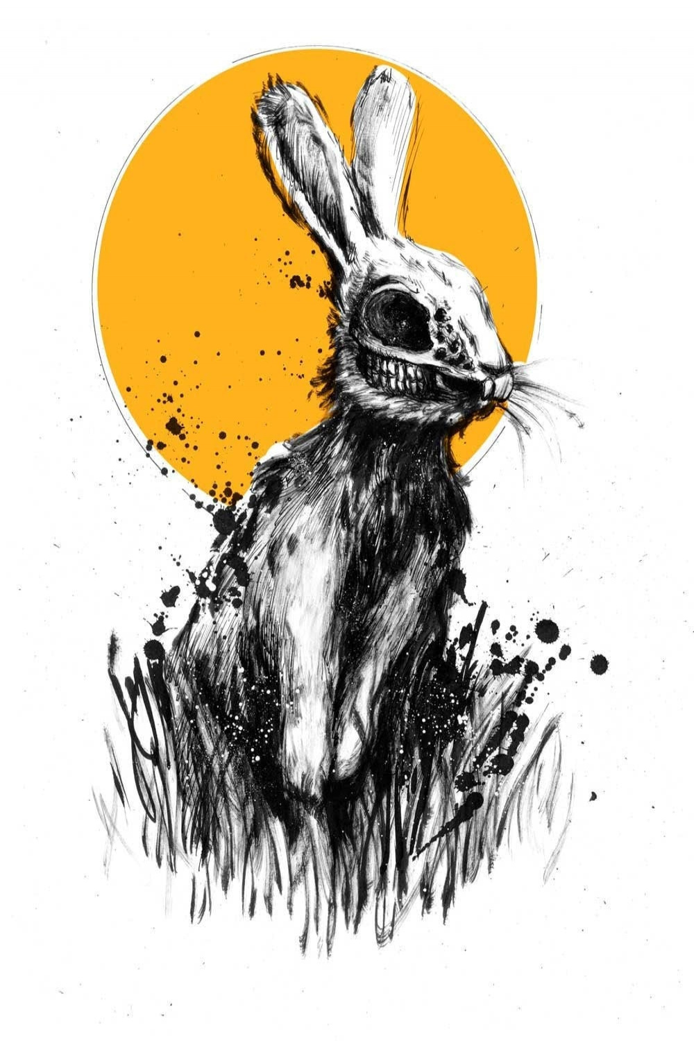 Horror Rabbit, Art Rabbit Yellow, Rabbit Skull, Skinned Animal