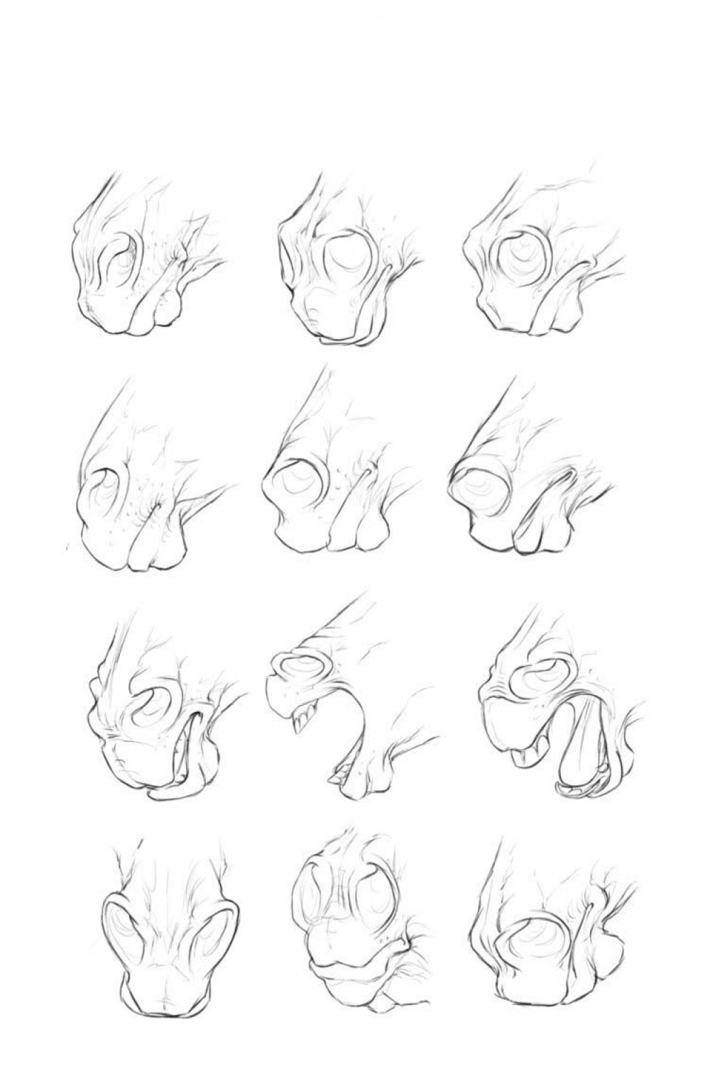 Horse nose Drawing Reference and Sketches for Artists