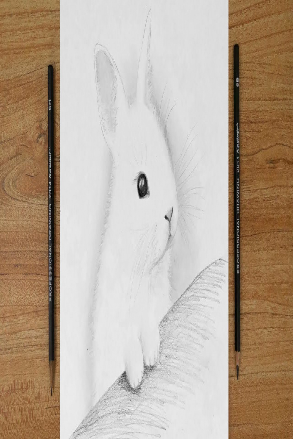 How to draw a bunny easy for beginners  Rabbit drawing tutorial  Pencil  drawing Part