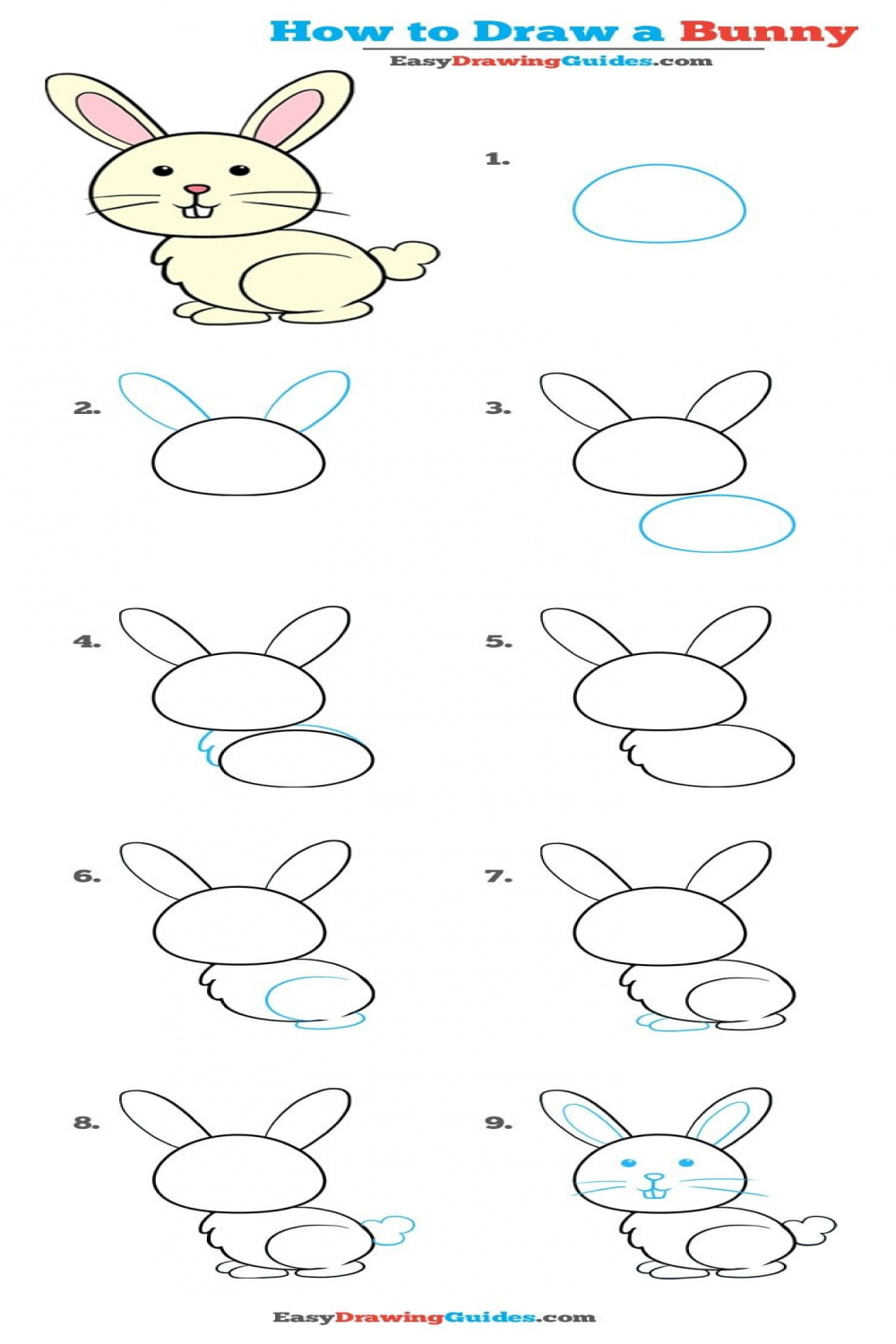 How to Draw a Bunny in a Few Easy Steps  Easy Drawing Guides