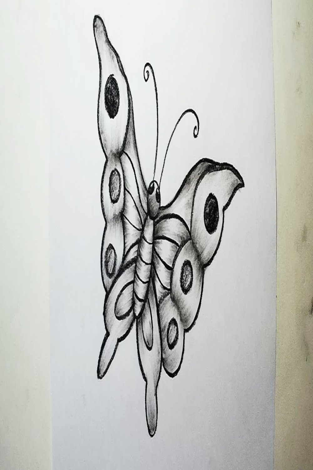 How to Draw A Butterfly  Charcoal Drawing and Shading