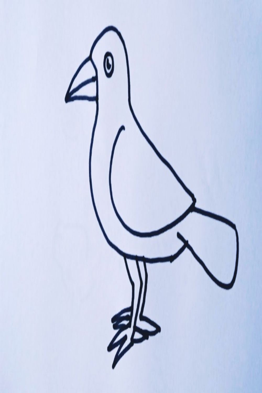 How to draw a Cartoon Crow easy step by step // crow drawing