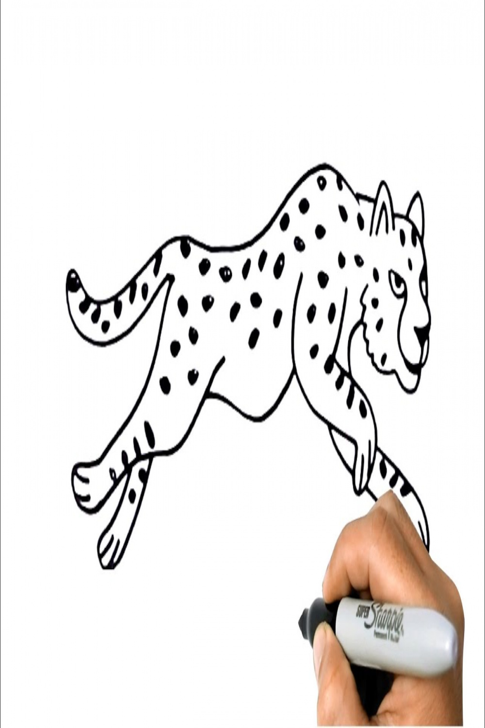 How to DRAW a CHEETAH Easy Step by Step Animal Drawing
