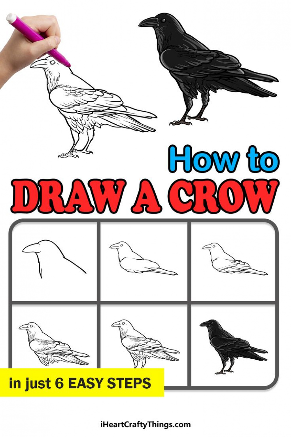 How to Draw A Crow – A Step by Step Guide  Cute easy drawings