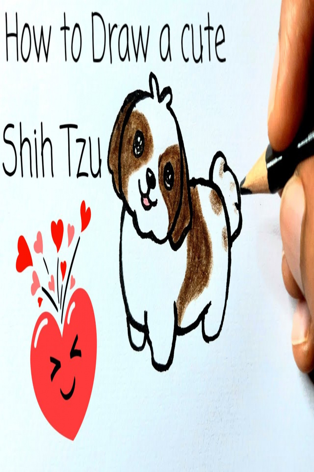How to draw a Cute Shih Tzu Dog (Easy Way)