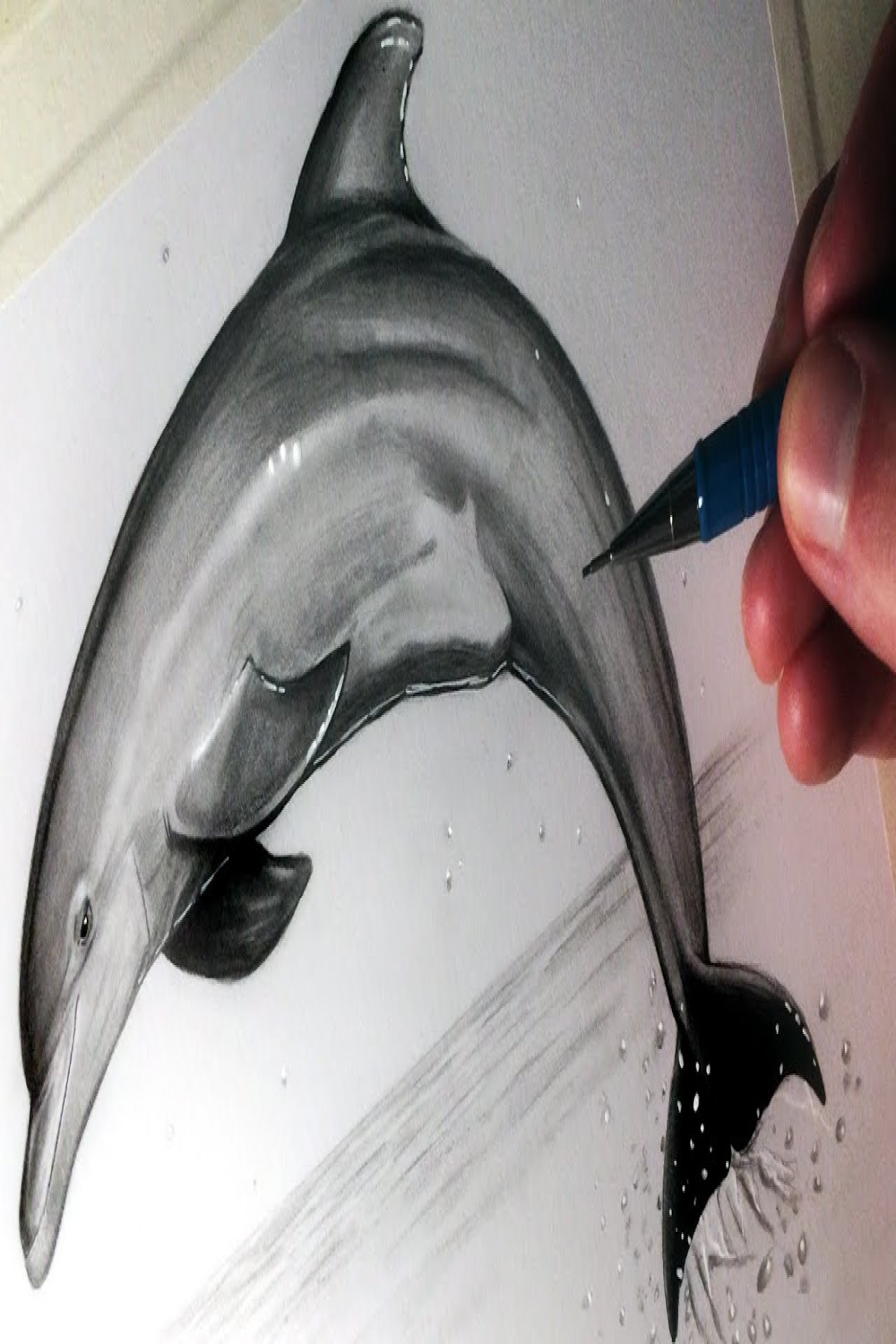 How to Draw a Dolphin
