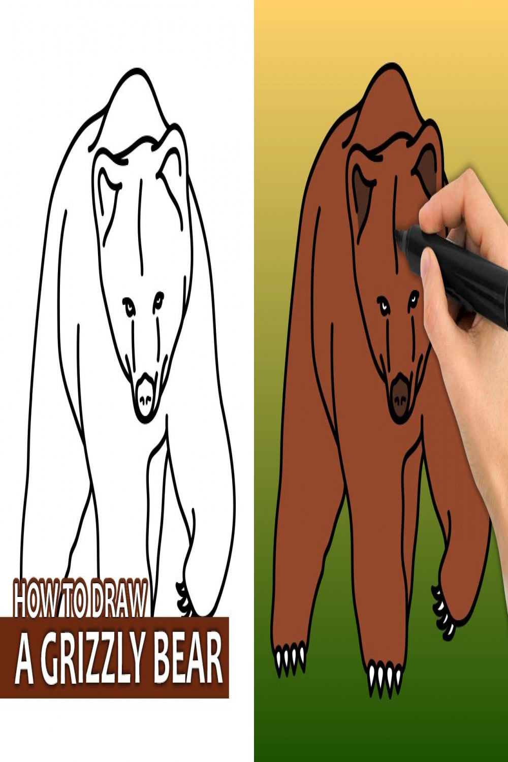 How To Draw A Grizzly Bear (Easy Drawing Tutorial)