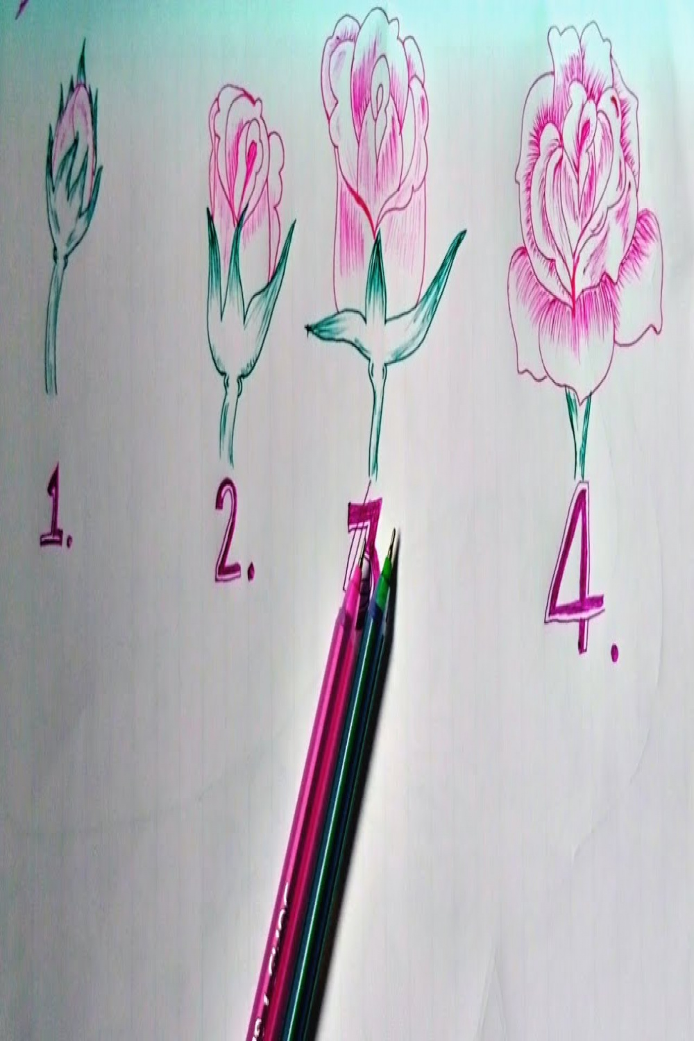 how to draw a growing rose with pen in four step. .