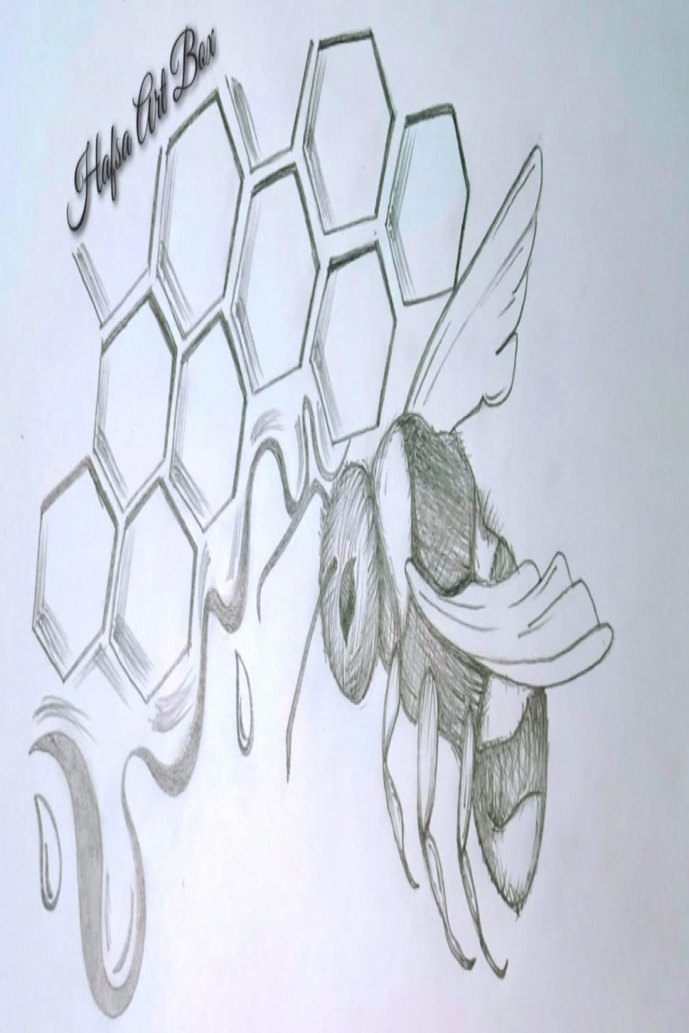 How to Draw A Honey Bee And Bee Hive  Draw A Flying Honey Bee  Pencil  Sketch  Step By Step