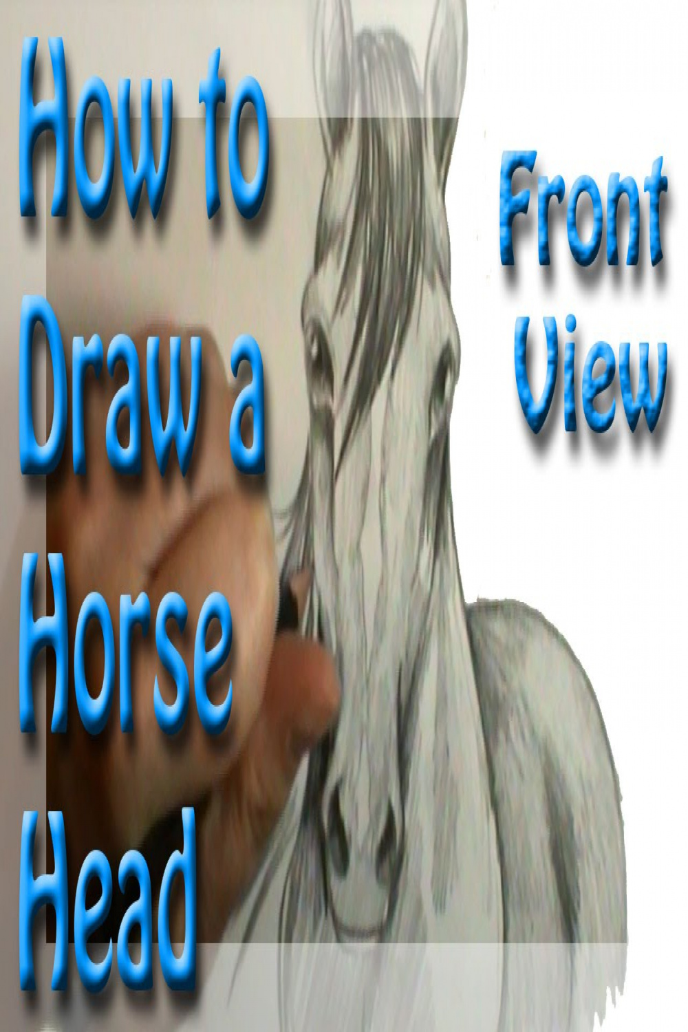 How to draw a Horse Head Front View