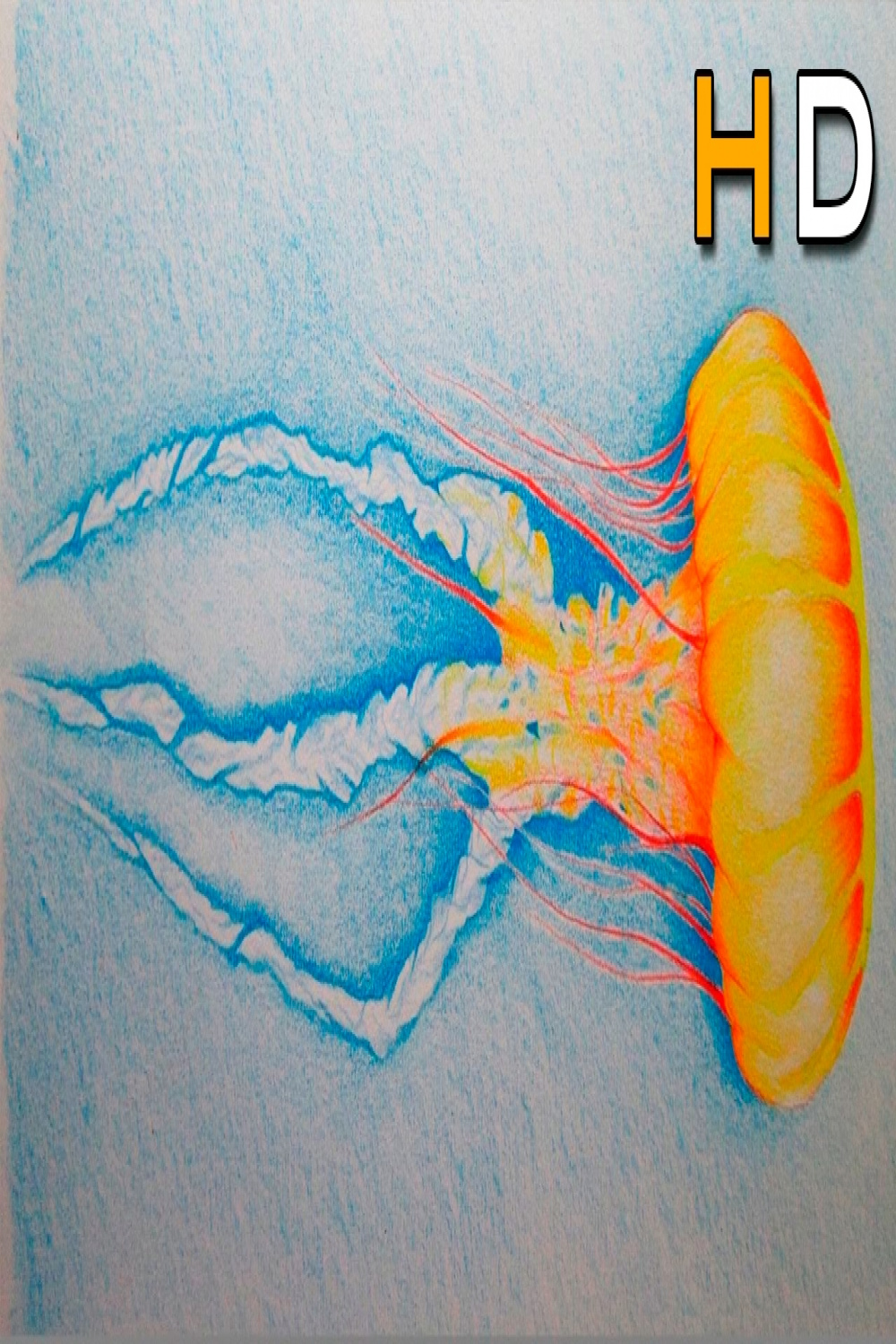 How to Draw a Jellyfish With Colored Pencil Step by Step - Timelapse