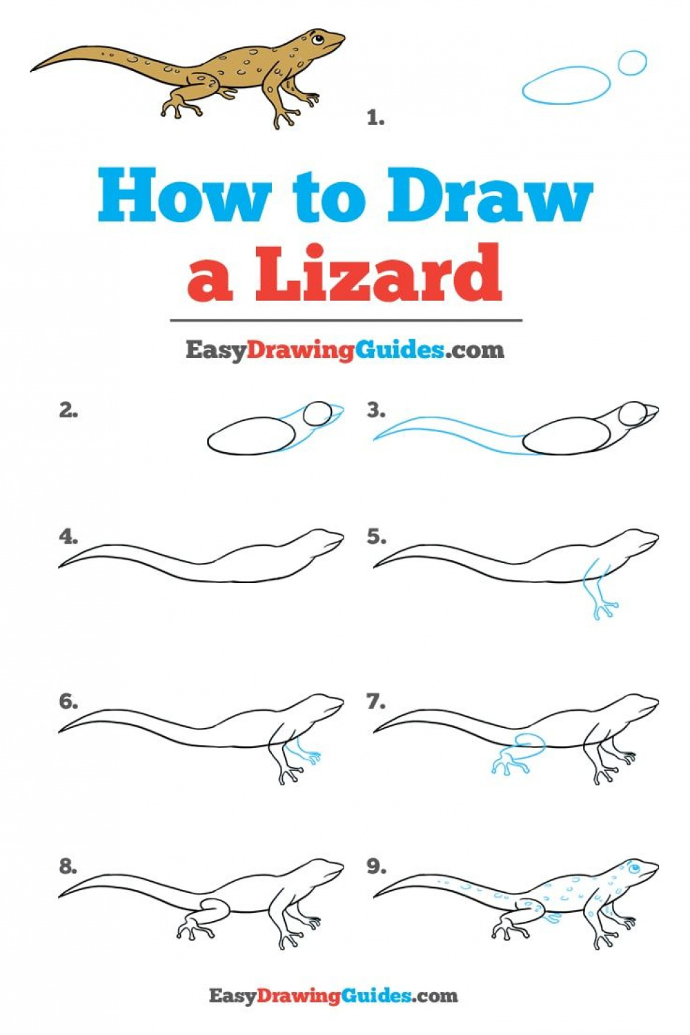 How to Draw a Lizard - Really Easy Drawing Tutorial  Drawing
