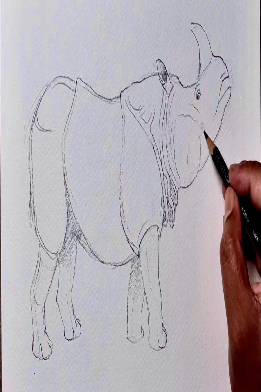 How to draw a one horned rihno