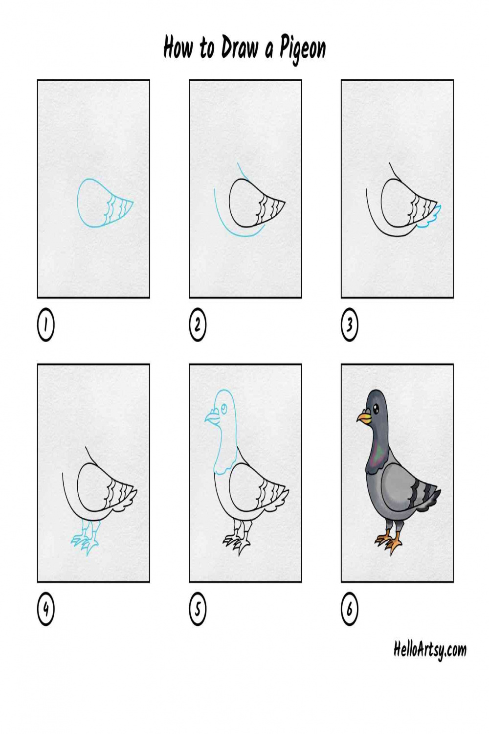 How to Draw a Pigeon - HelloArtsy
