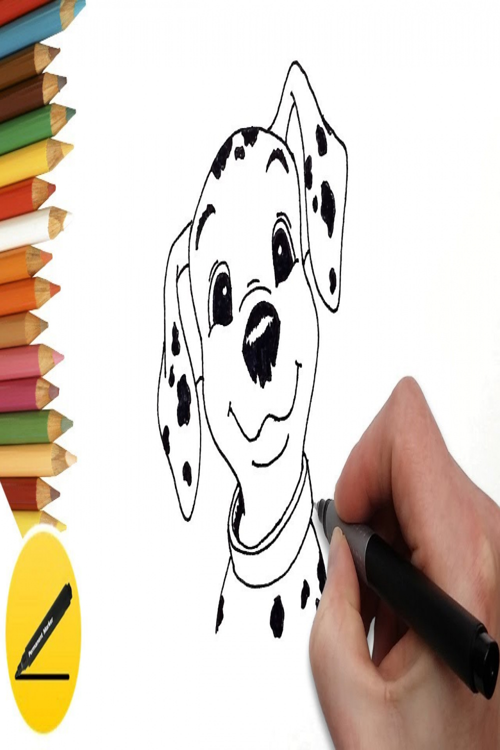 How to Draw a Puppy from  Dalmatians Step by Step - Drawing for Kids