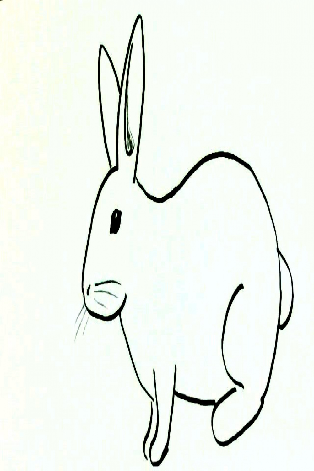 How to draw a rabbit or bunny- in easy steps advanced tutorial