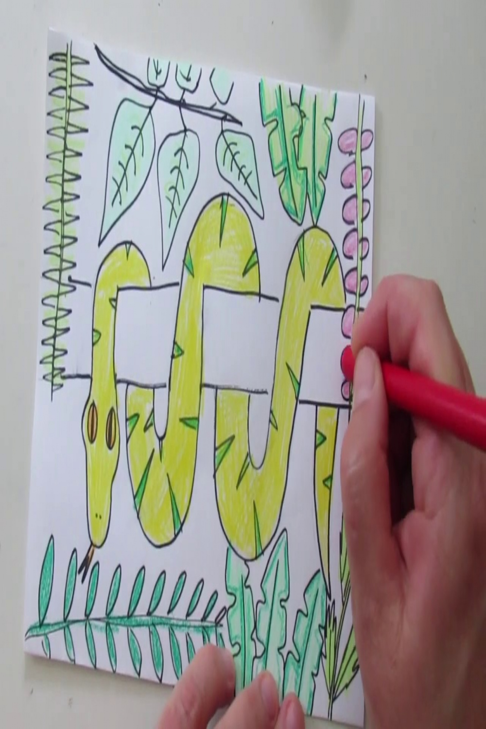 How to draw a rainforest snake
