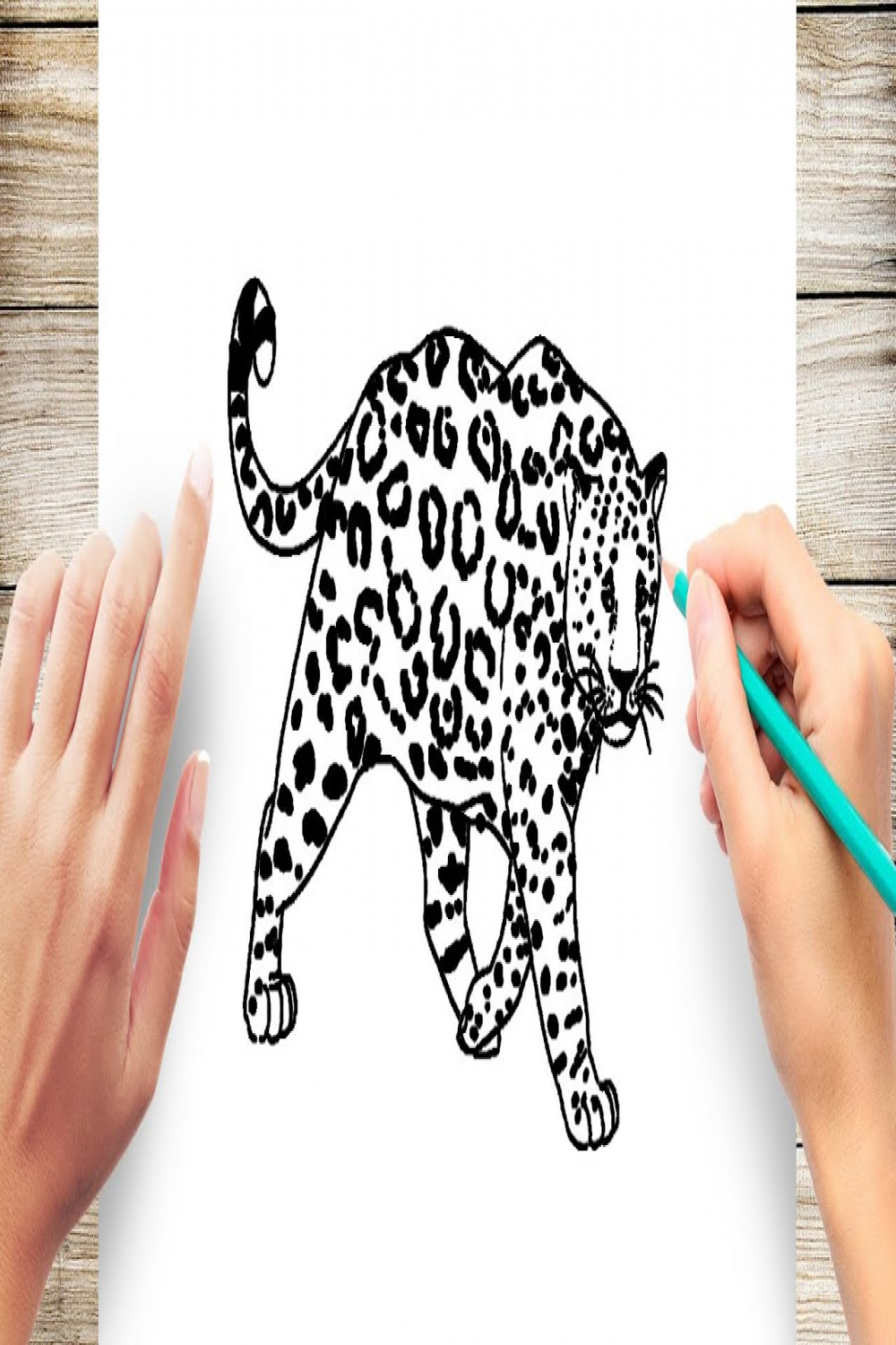 How to Draw A Realistic Jaguar