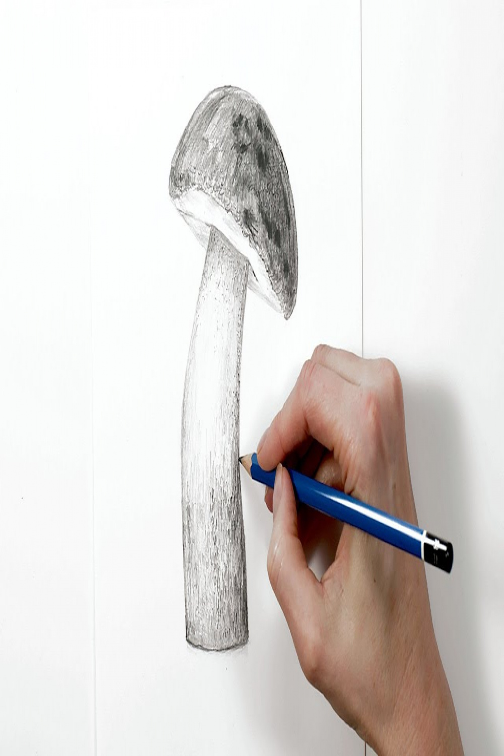 How to draw a realistic mushroom in pencil