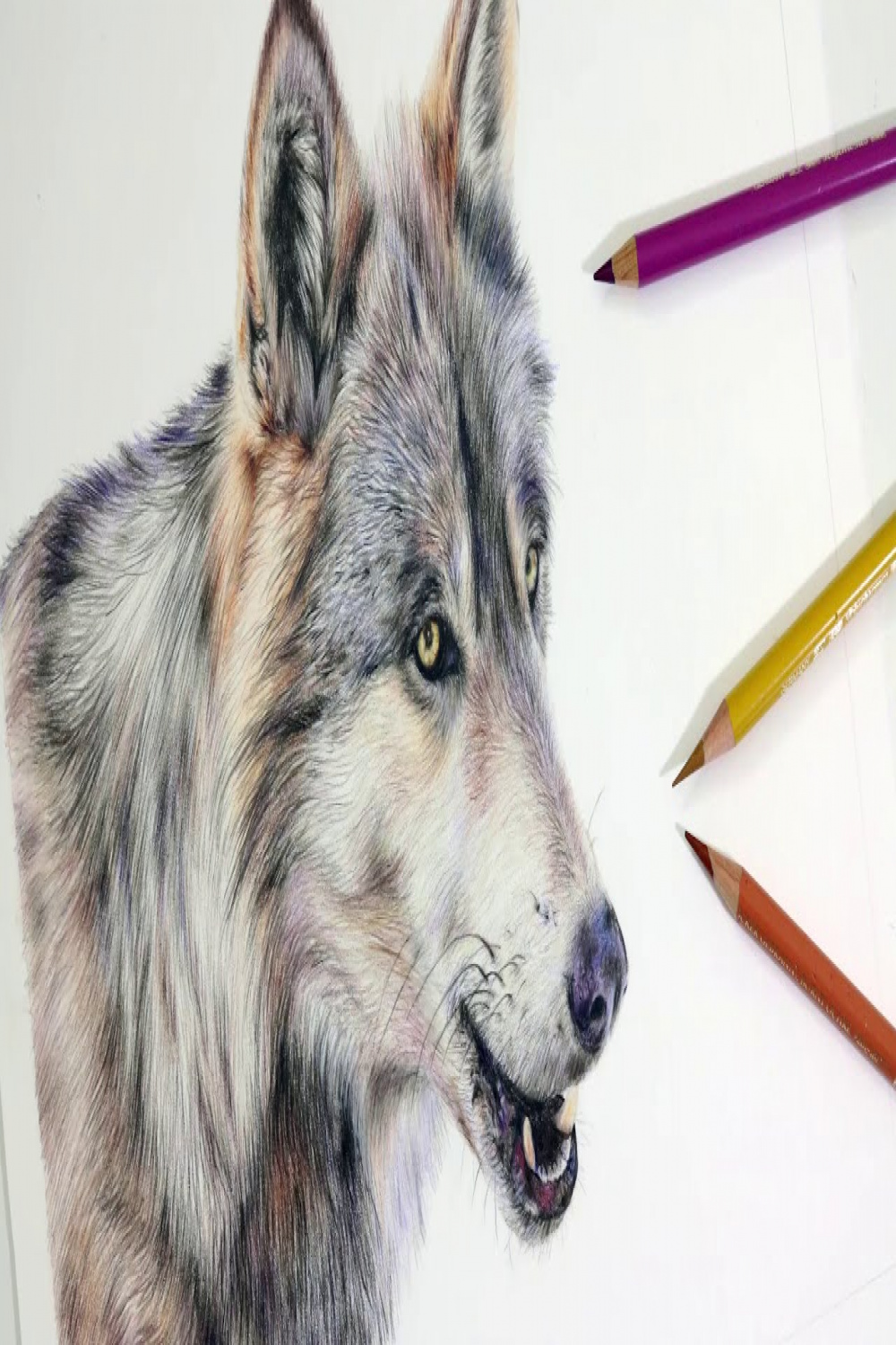 HOW TO DRAW A REALISTIC WOLF  Colored Pencil Drawing Tutorial
