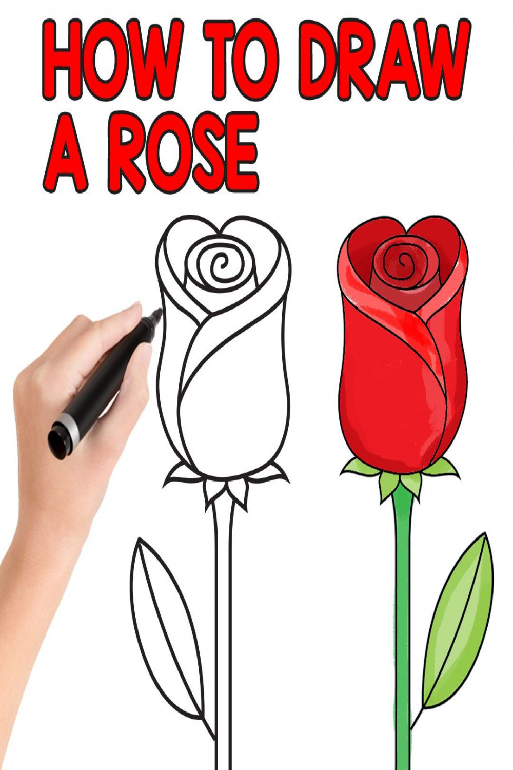 How to Draw a Rose - Easy Step by Step For Beginners and Kids