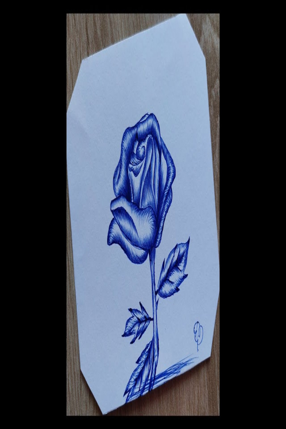 How to Draw A Rose With a Pen Step by Step