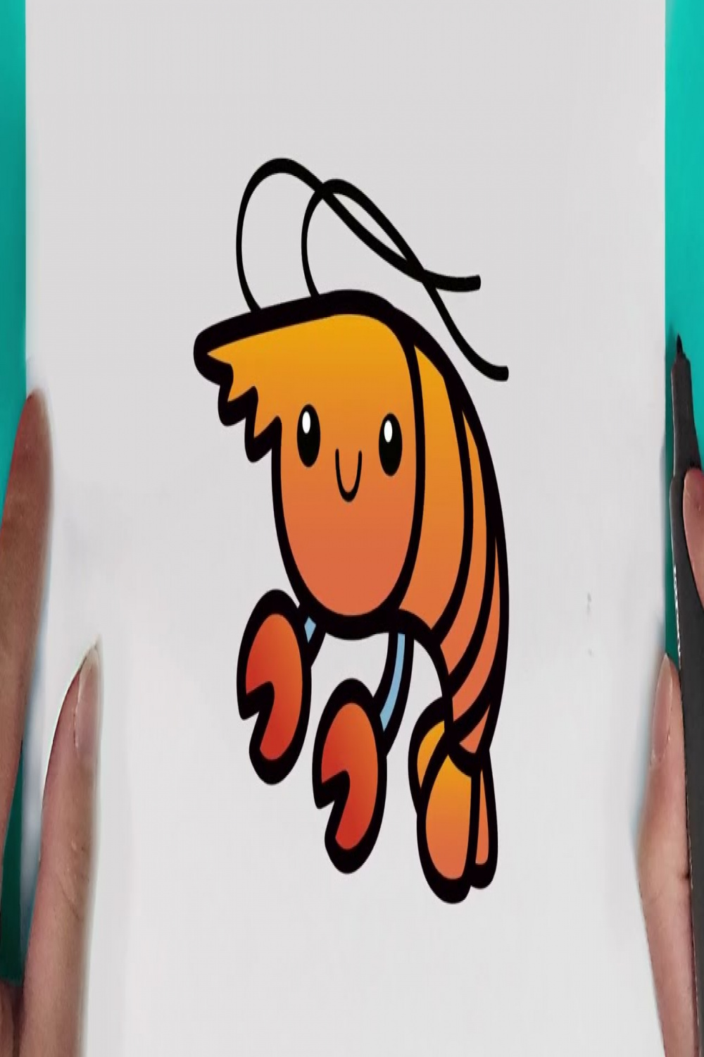How to draw a shrimp easy for beginners drawing cute shrimp Step by step  easy drawing shrimp