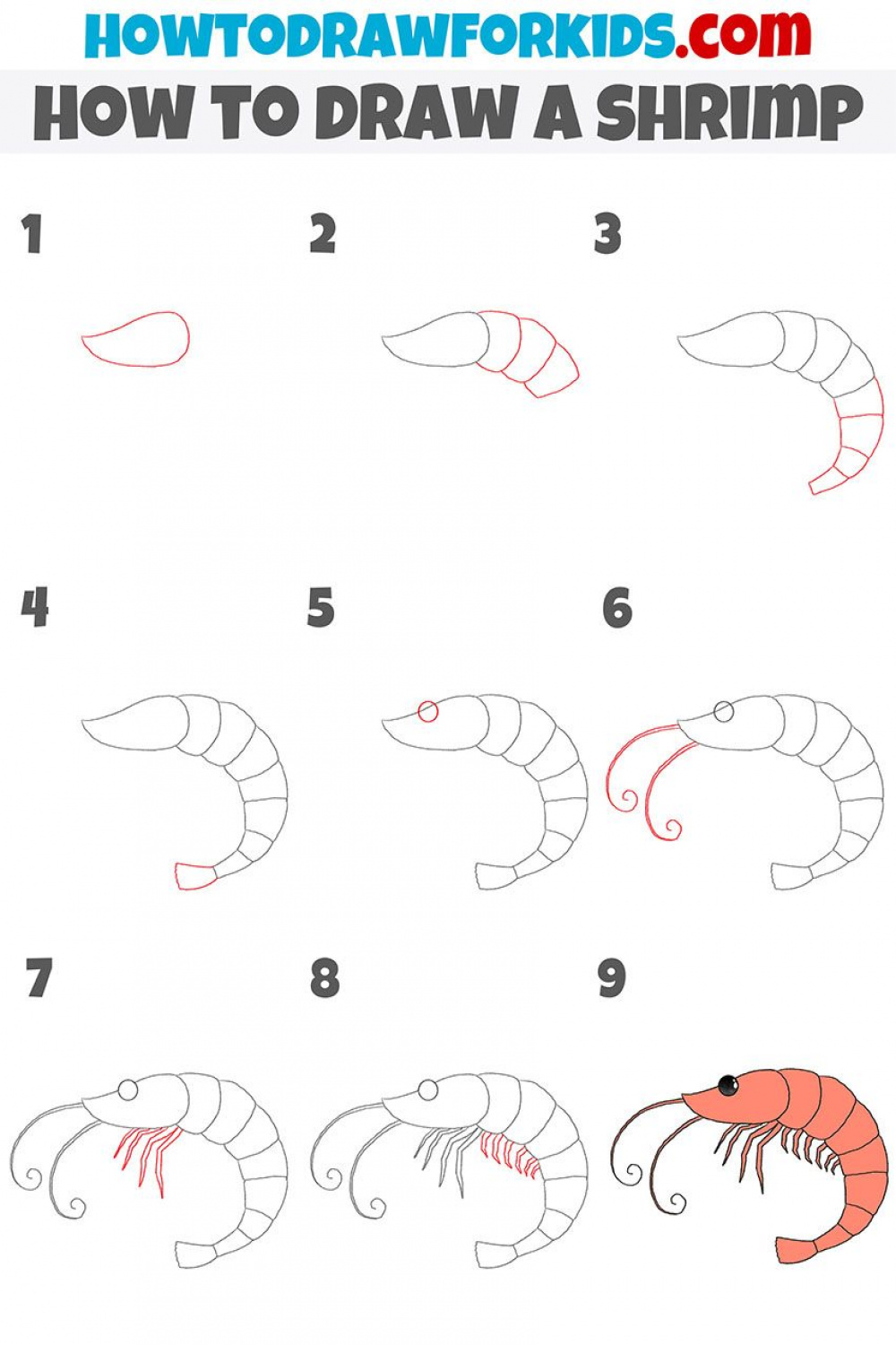how to draw a shrimp step by step  Cute doodles drawings