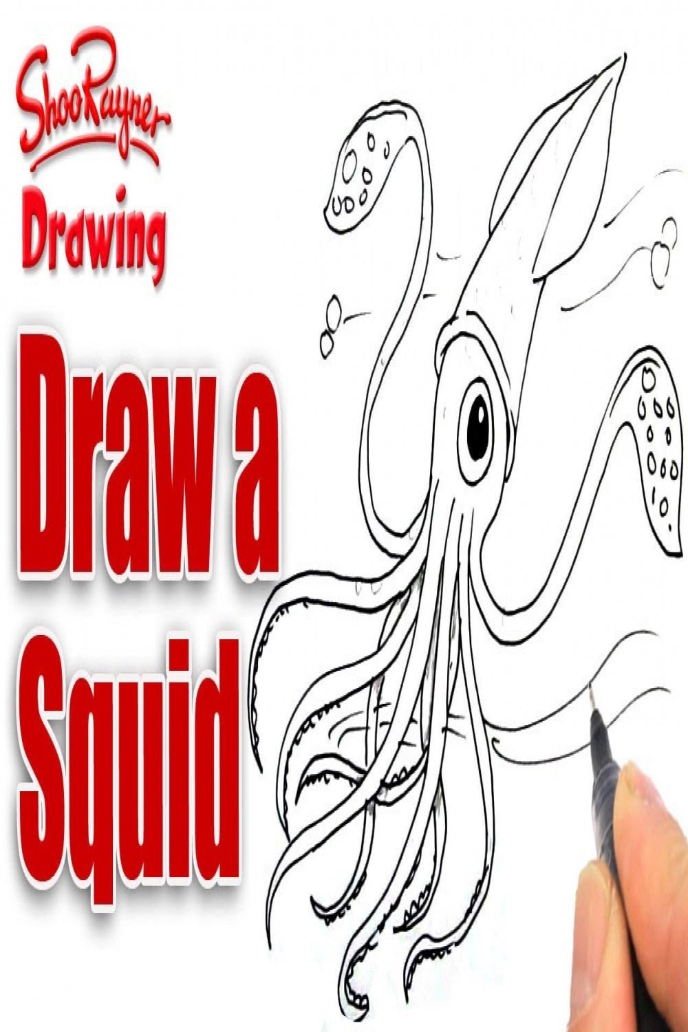 How to draw a Squid