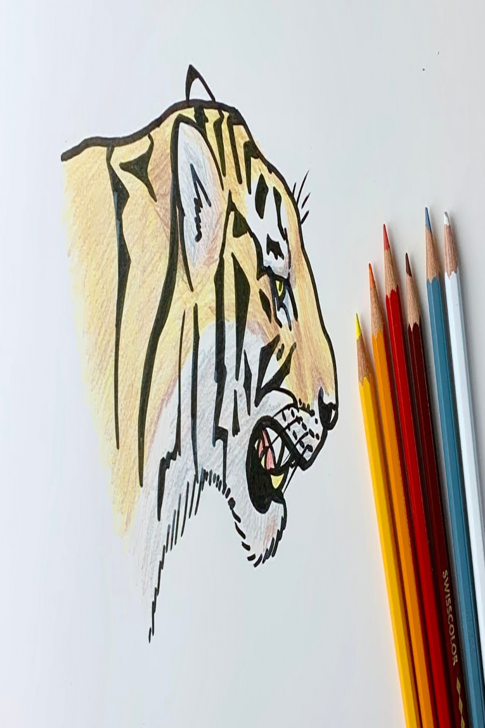 How to draw a tiger roaring