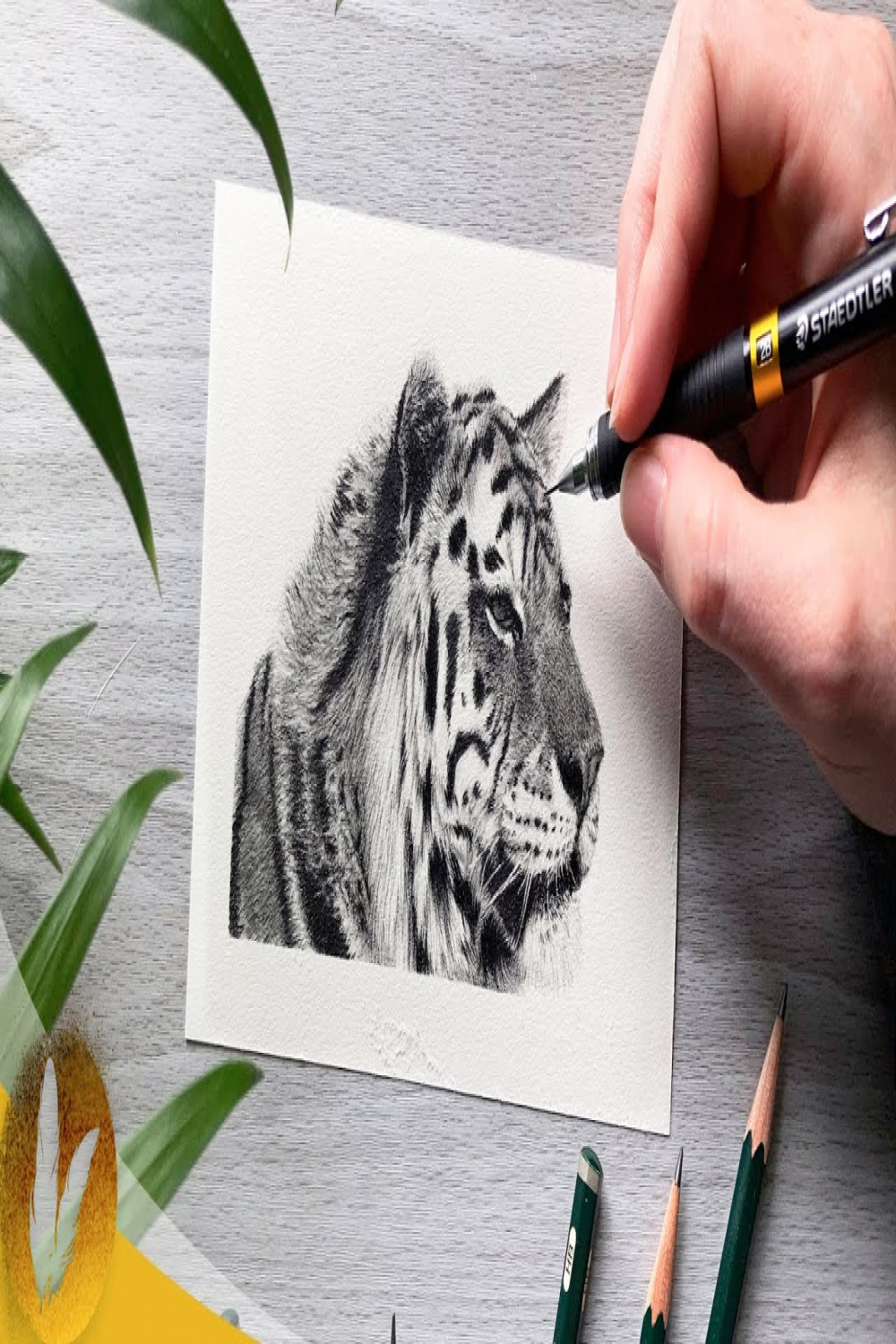 How To Draw A Tiger With Pencil  Tiger Drawing Tutorial For Beginners