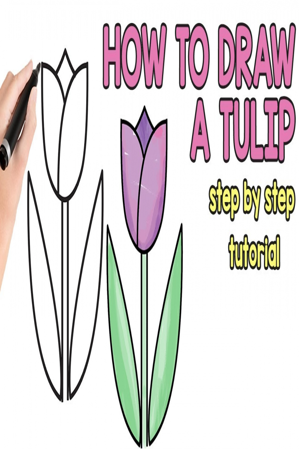 How to draw a tulip tutorial for beginners and kids