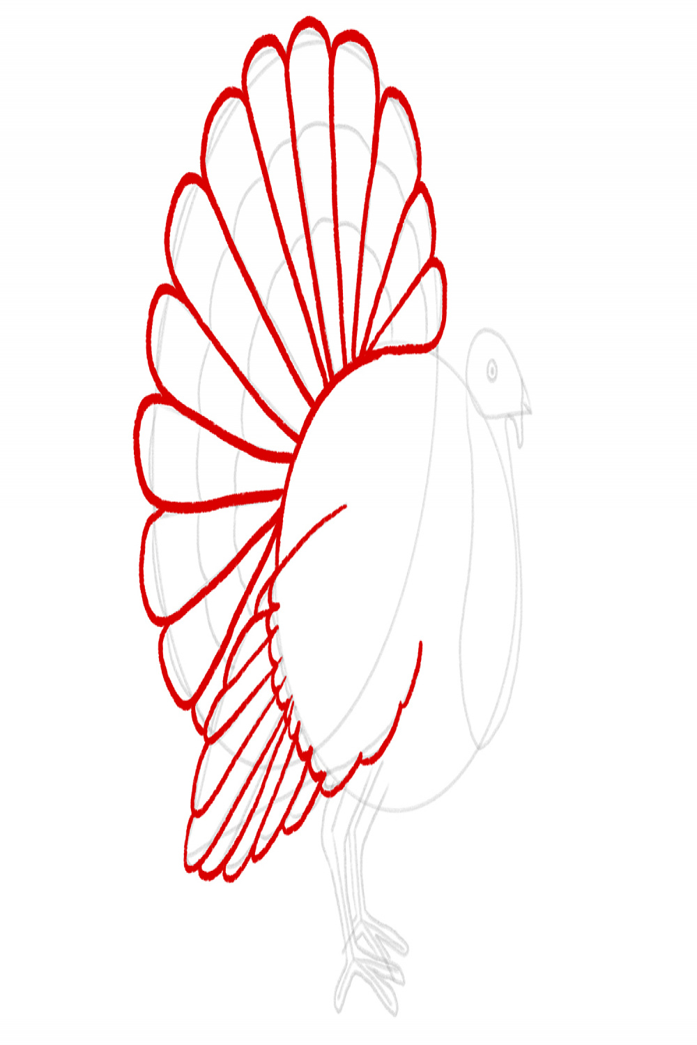 How to Draw a Turkey  Design School