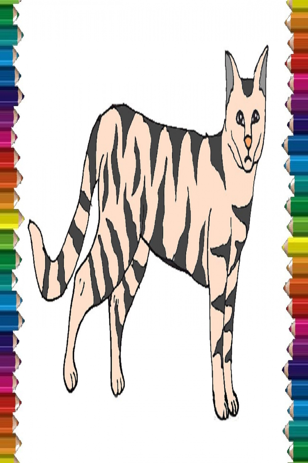How to draw a wildcat step by step easy