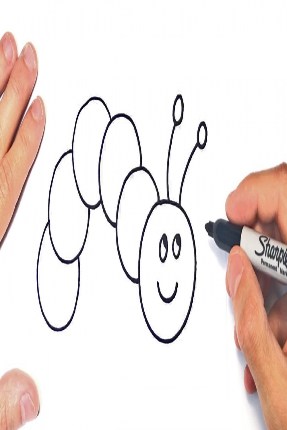 How to draw a Worm Step by Step  Easy drawings