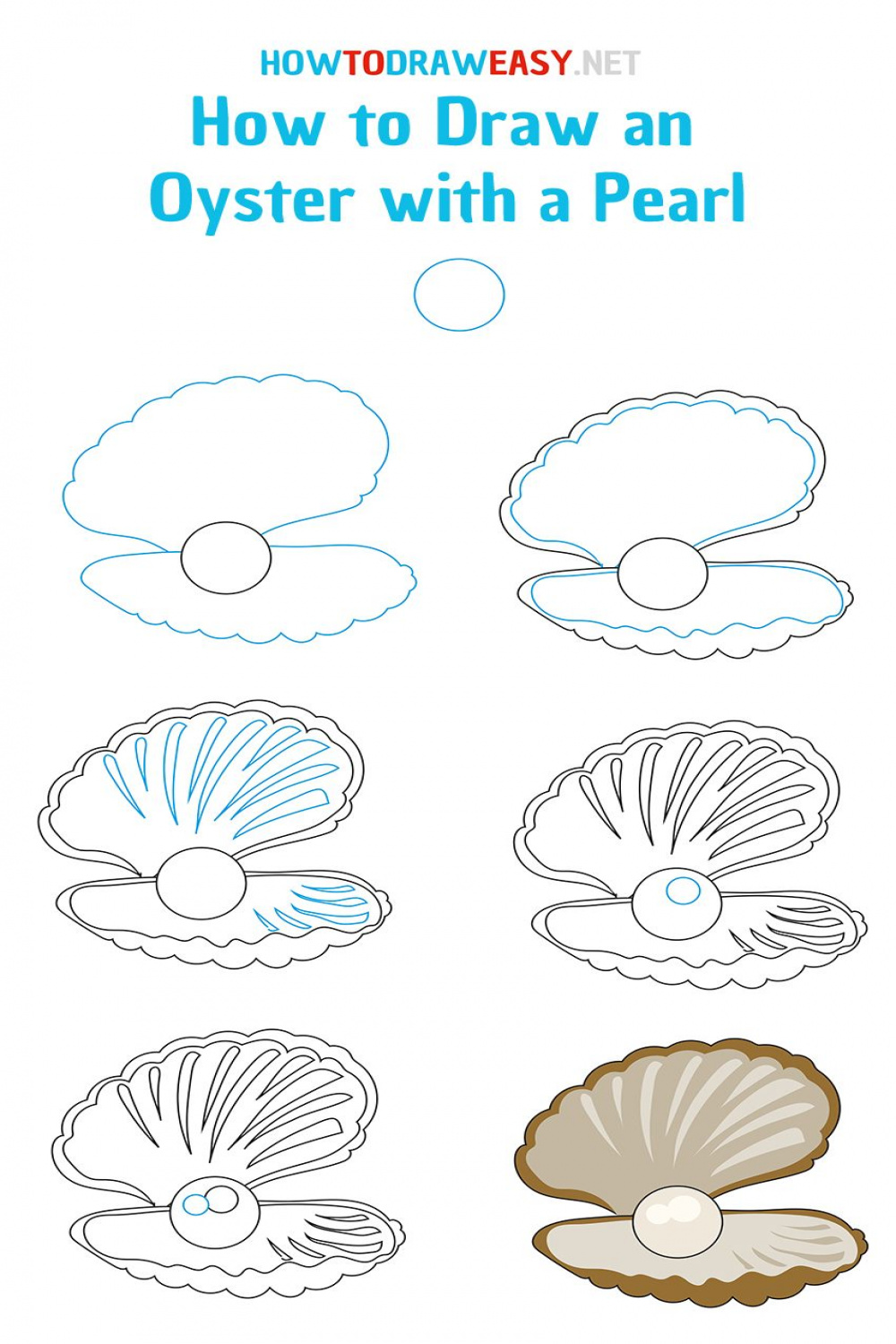 How to Draw an Oyster with a Pearl - How to Draw Easy  Seashell