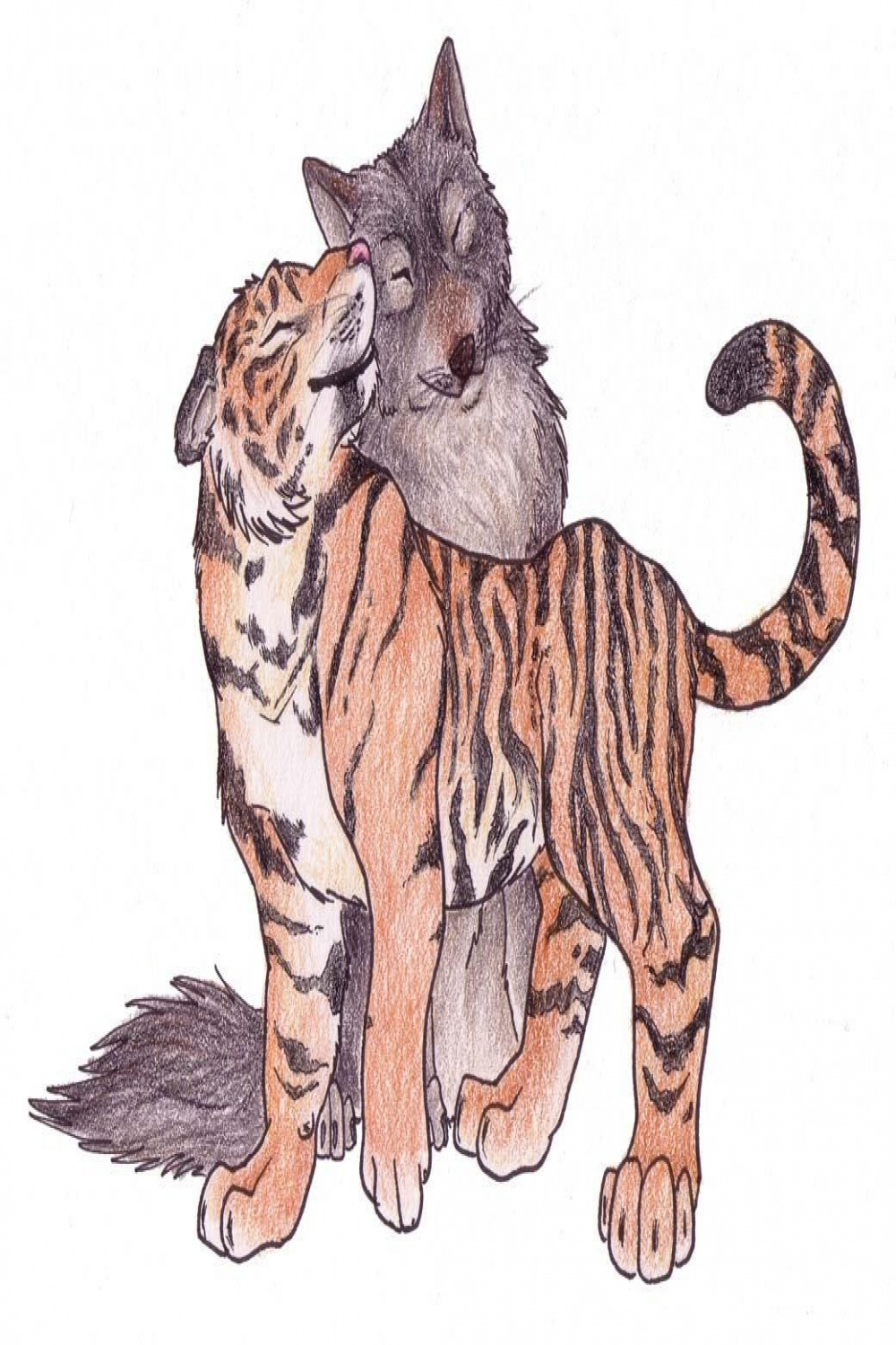 How To Draw Anime Wolves And Tigers Image Gallery  Animal