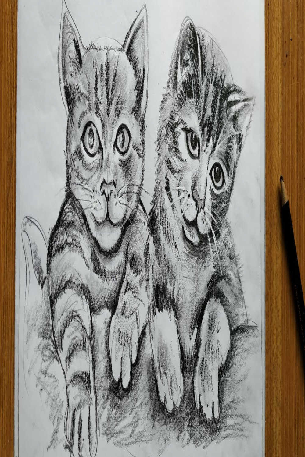 how to draw cat with pencil sketch for beginners step by step,easy cat  drawing,animals drawing,