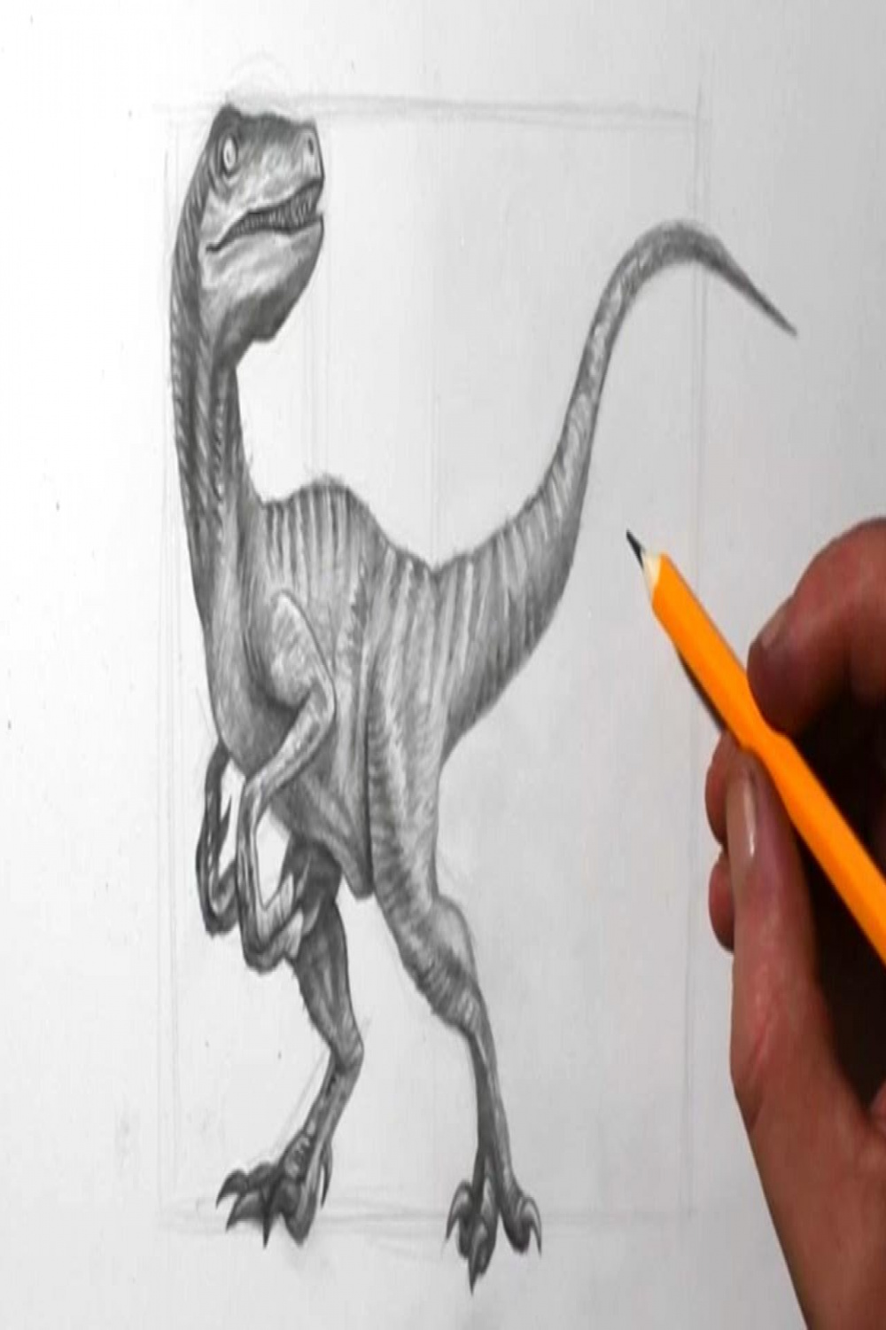 How to Draw Dinosaurs  Velociraptor Pencil Drawing - YouTube