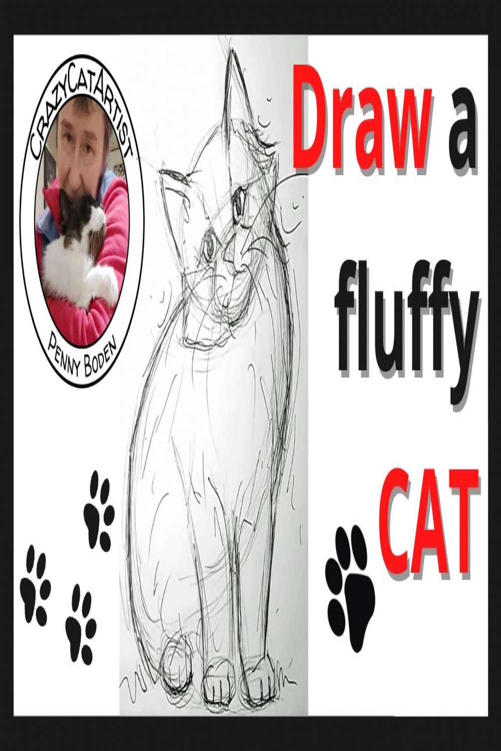 How to Draw Fluffy Long Hair Cat, using lines & shapes, front facing  sitting, easy beginner tutorial