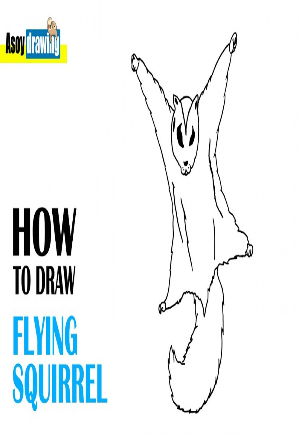 How to Draw Flying Squirrel