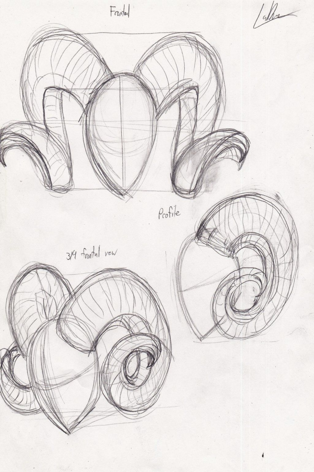 how to draw horns  Sketch book, Art reference, Sketches
