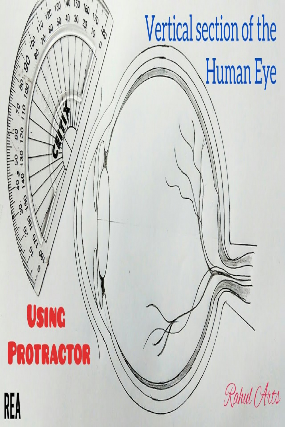 How to draw Human Eye  Vertical section of the human eye ; Class