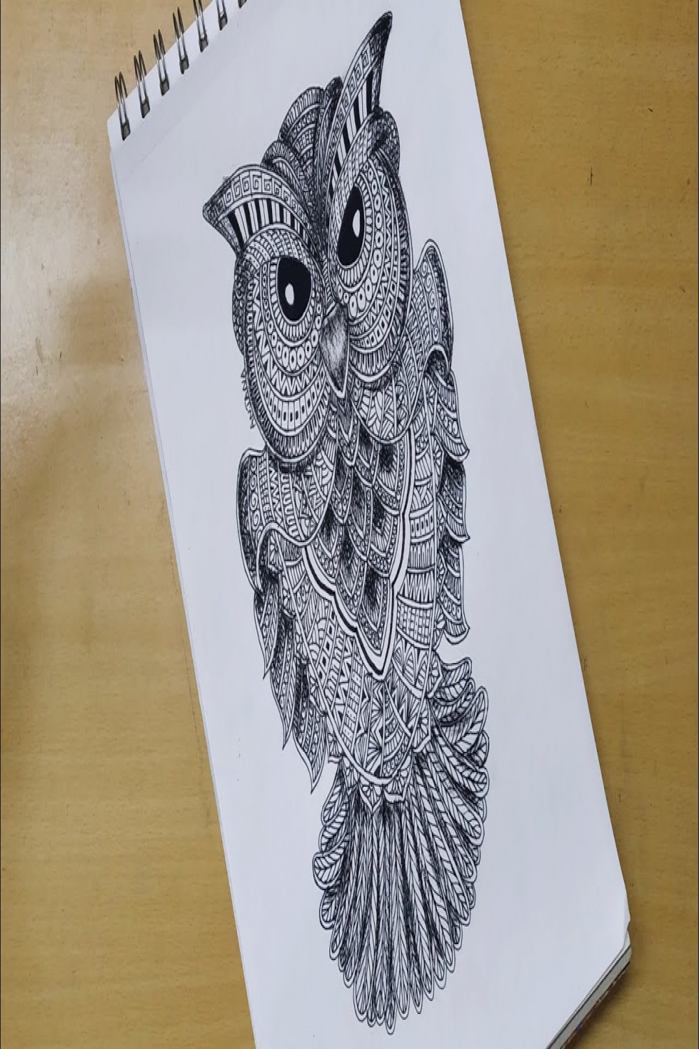 How to draw Mandala art of Owl  Flying Bird  Zentangle art  Doodle art   Easy drawing